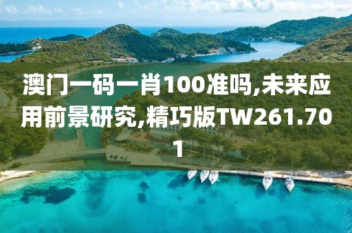 澳門一碼一肖100準(zhǔn)嗎,未來應(yīng)用前景研究,精巧版TW261.701