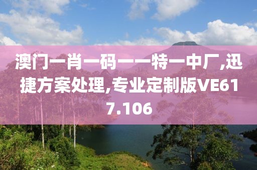 澳門一肖一碼一一特一中廠,迅捷方案處理,專業(yè)定制版VE617.106