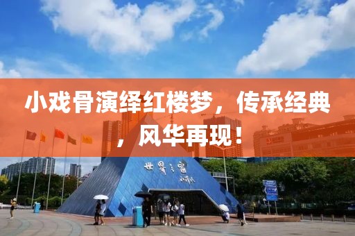 小戲骨演繹紅樓夢，傳承經(jīng)典，風(fēng)華再現(xiàn)！