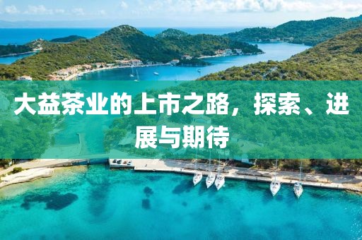 大益茶業(yè)的上市之路，探索、進展與期待