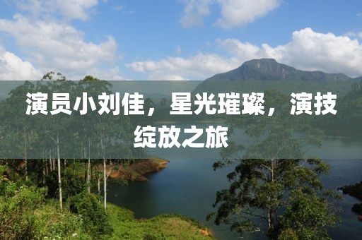 演員小劉佳，星光璀璨，演技綻放之旅
