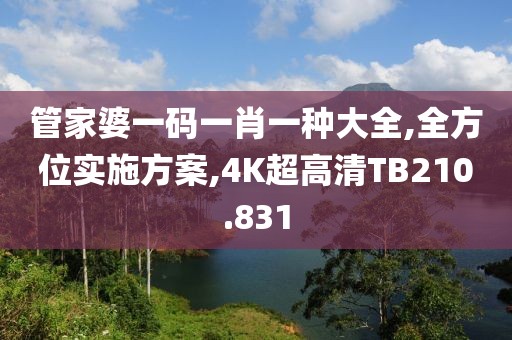 管家婆一碼一肖一種大全,全方位實施方案,4K超高清TB210.831