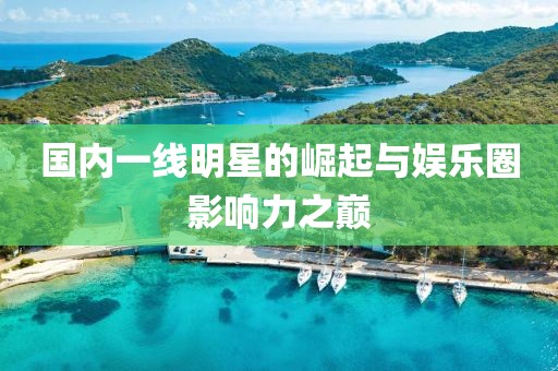 國內一線明星的崛起與娛樂圈影響力之巔