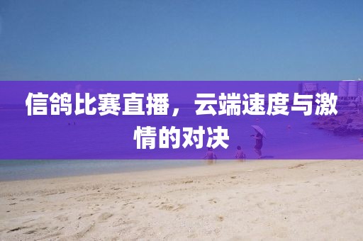 信鴿比賽直播，云端速度與激情的對(duì)決