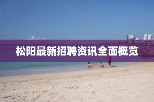 松陽最新招聘資訊全面概覽