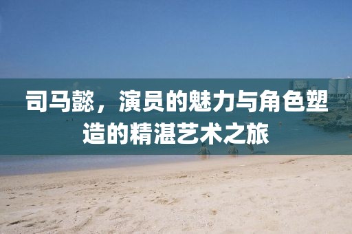 司馬懿，演員的魅力與角色塑造的精湛藝術(shù)之旅