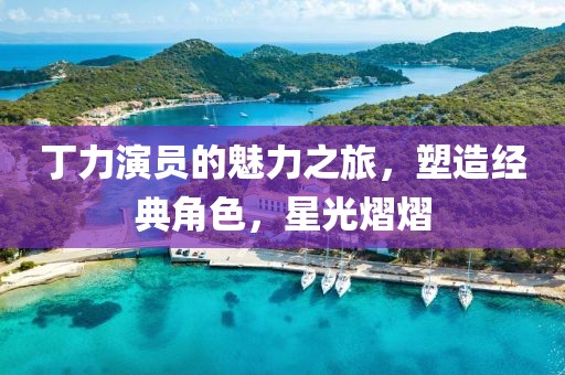 丁力演員的魅力之旅，塑造經(jīng)典角色，星光熠熠