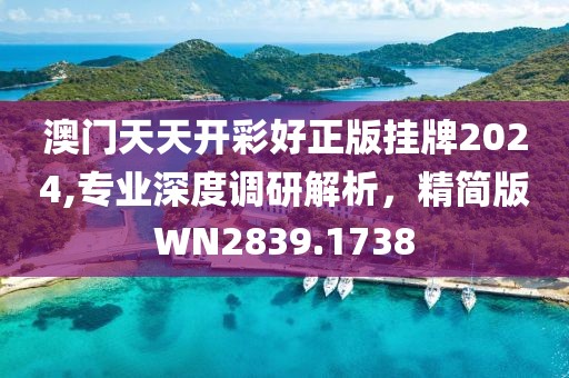澳門(mén)天天開(kāi)彩好正版掛牌2024,專(zhuān)業(yè)深度調(diào)研解析，精簡(jiǎn)版WN2839.1738