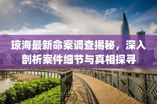 瓊海最新命案調(diào)查揭秘，深入剖析案件細(xì)節(jié)與真相探尋