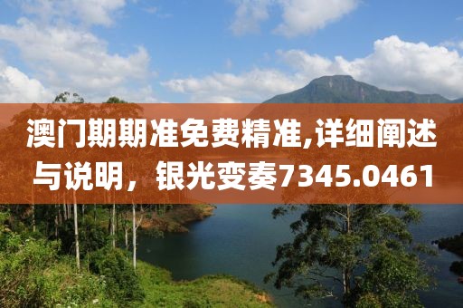 澳門期期準(zhǔn)免費(fèi)精準(zhǔn),詳細(xì)闡述與說(shuō)明，銀光變奏7345.0461