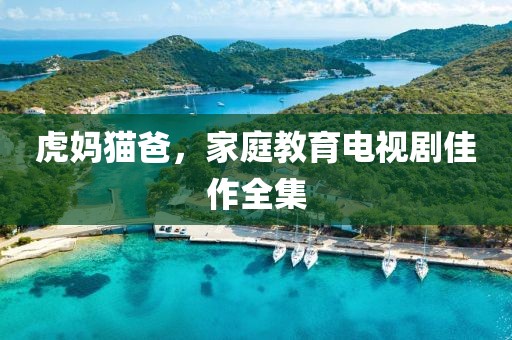 虎媽貓爸，家庭教育電視劇佳作全集