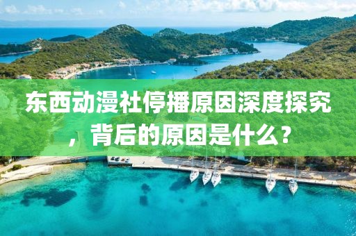 東西動漫社停播原因深度探究，背后的原因是什么？