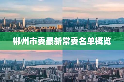 郴州市委最新常委名單概覽
