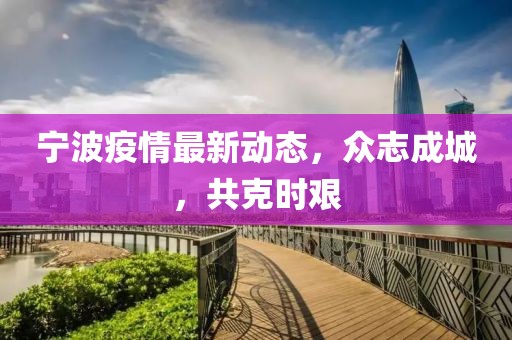 寧波疫情最新動態(tài)，眾志成城，共克時艱