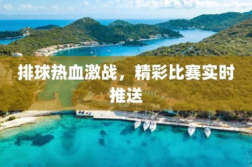 排球熱血激戰(zhàn)，精彩比賽實時推送
