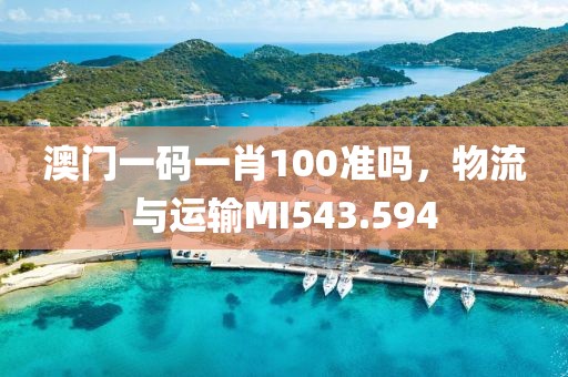 澳門一碼一肖100準(zhǔn)嗎，物流與運輸MI543.594