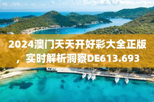 2024澳門天天開好彩大全正版，實時解析洞察DE613.693
