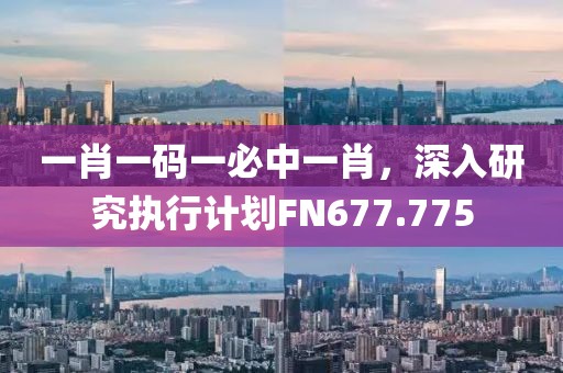 一肖一碼一必中一肖，深入研究執(zhí)行計劃FN677.775
