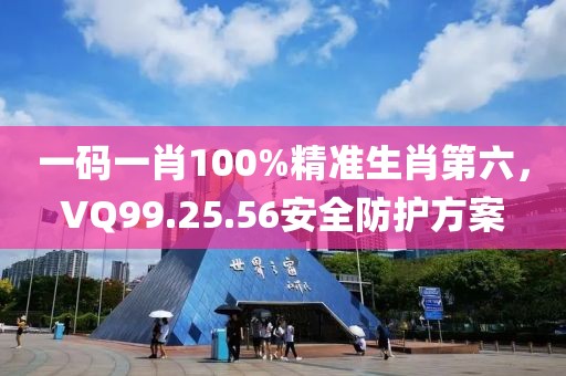 一碼一肖100%精準(zhǔn)生肖第六，VQ99.25.56安全防護(hù)方案