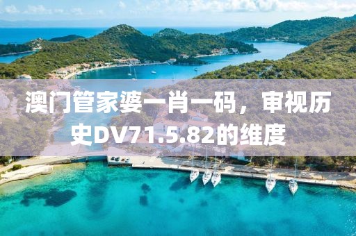 澳門管家婆一肖一碼，審視歷史DV71.5.82的維度