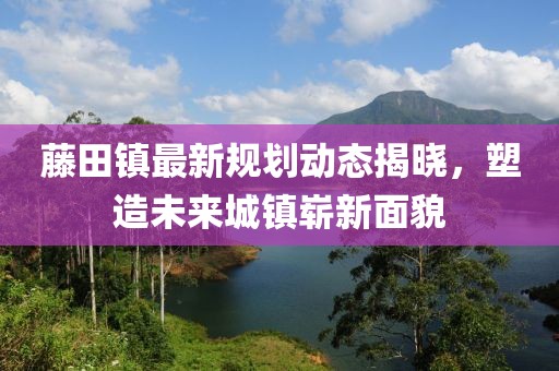 藤田鎮(zhèn)最新規(guī)劃動(dòng)態(tài)揭曉，塑造未來城鎮(zhèn)嶄新面貌