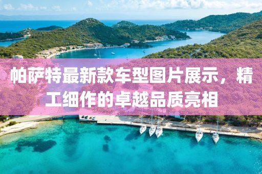 帕薩特最新款車型圖片展示，精工細作的卓越品質(zhì)亮相