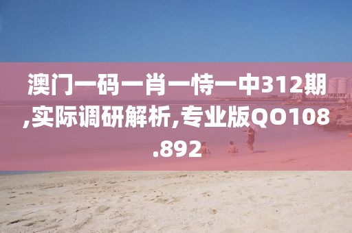 澳門(mén)一碼一肖一恃一中312期,實(shí)際調(diào)研解析,專業(yè)版QO108.892