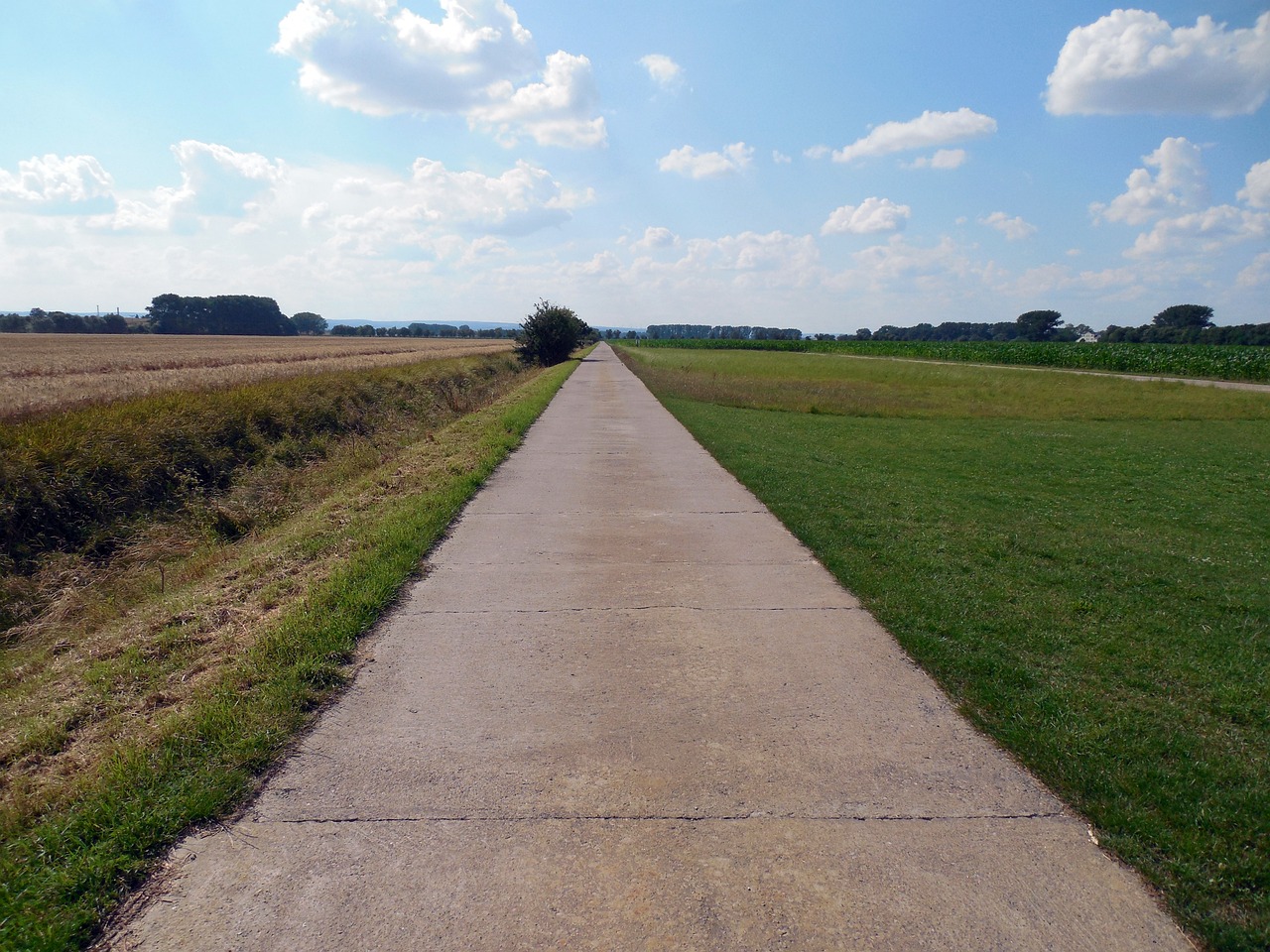 印度與中國(guó)最新動(dòng)態(tài)，雙邊關(guān)系演變、前景展望及最新發(fā)展。