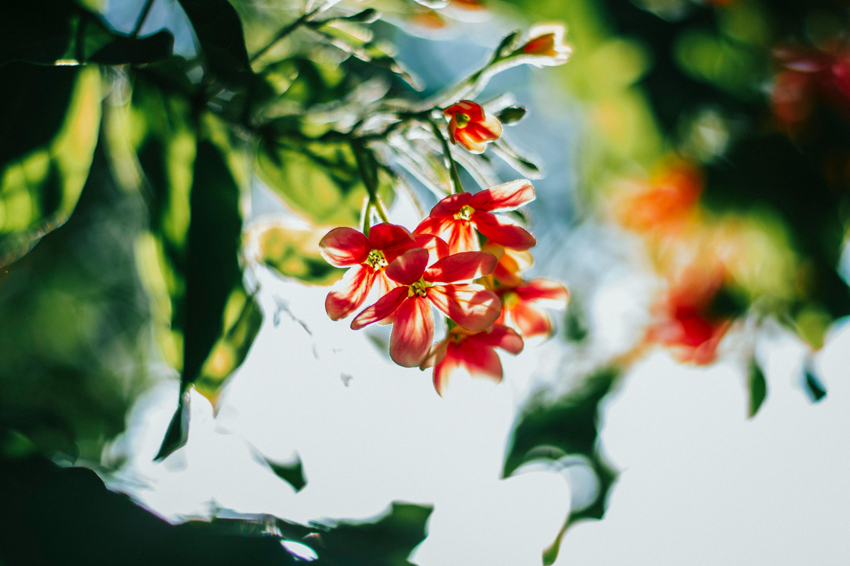 阜寧新鮮資訊概覽，最新動(dòng)態(tài)與熱點(diǎn)資訊一網(wǎng)打盡